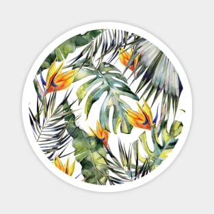 TROPICAL GARDEN B Magnet